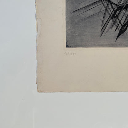 IMPRESSION : Prélude, impression d'archives par Ferdinand Springer